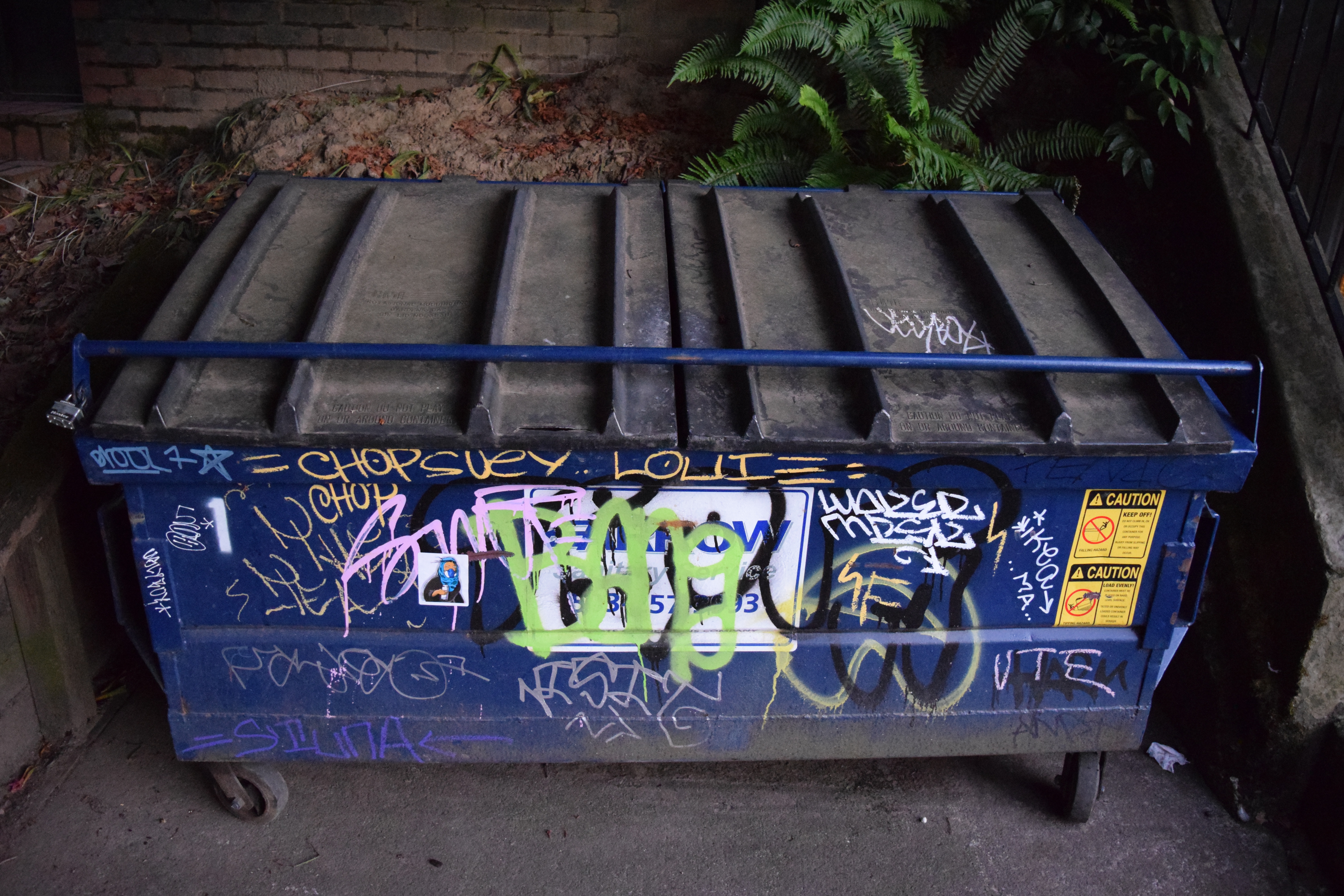 Dumpster 1