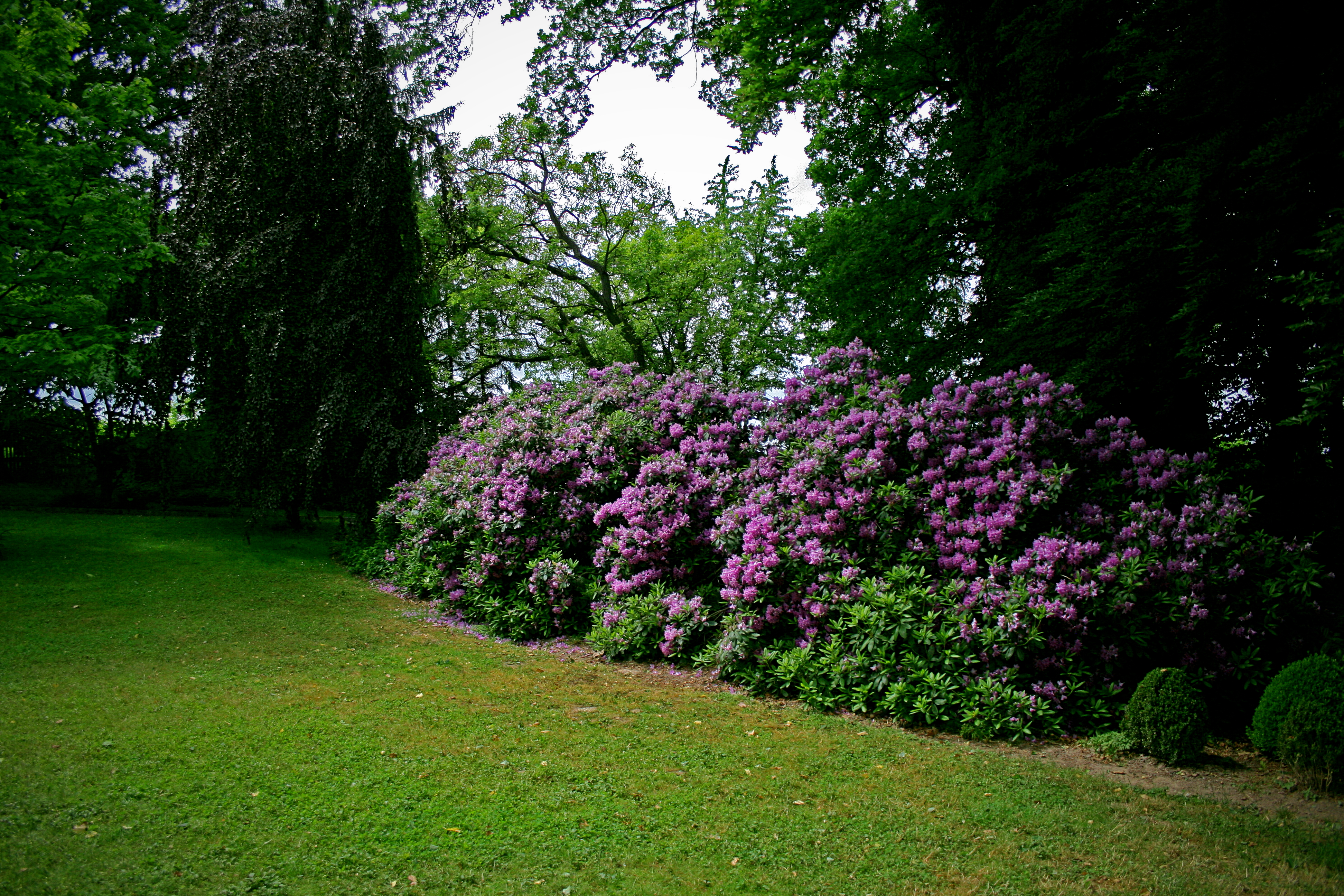 Green Impressions