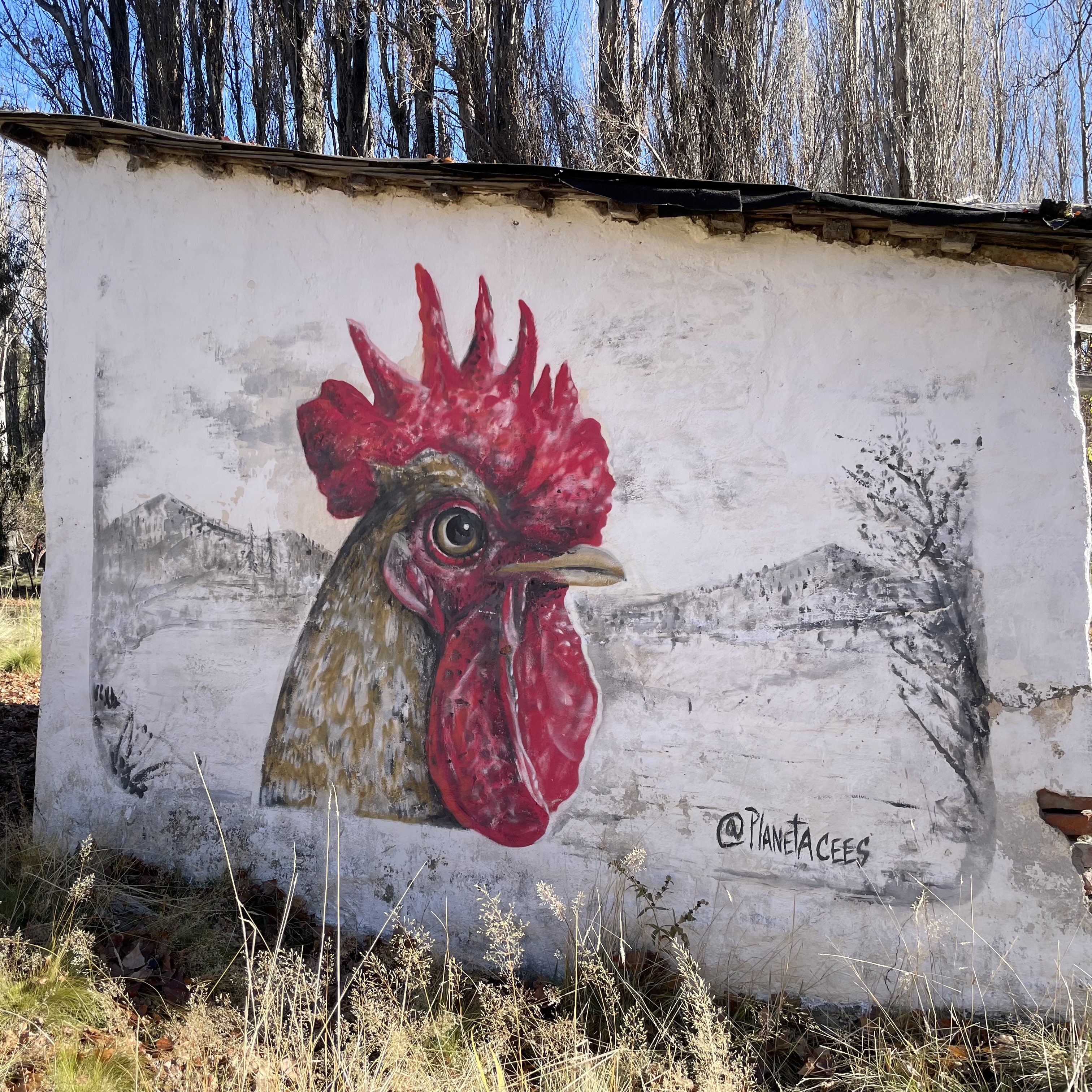 Red Rooster