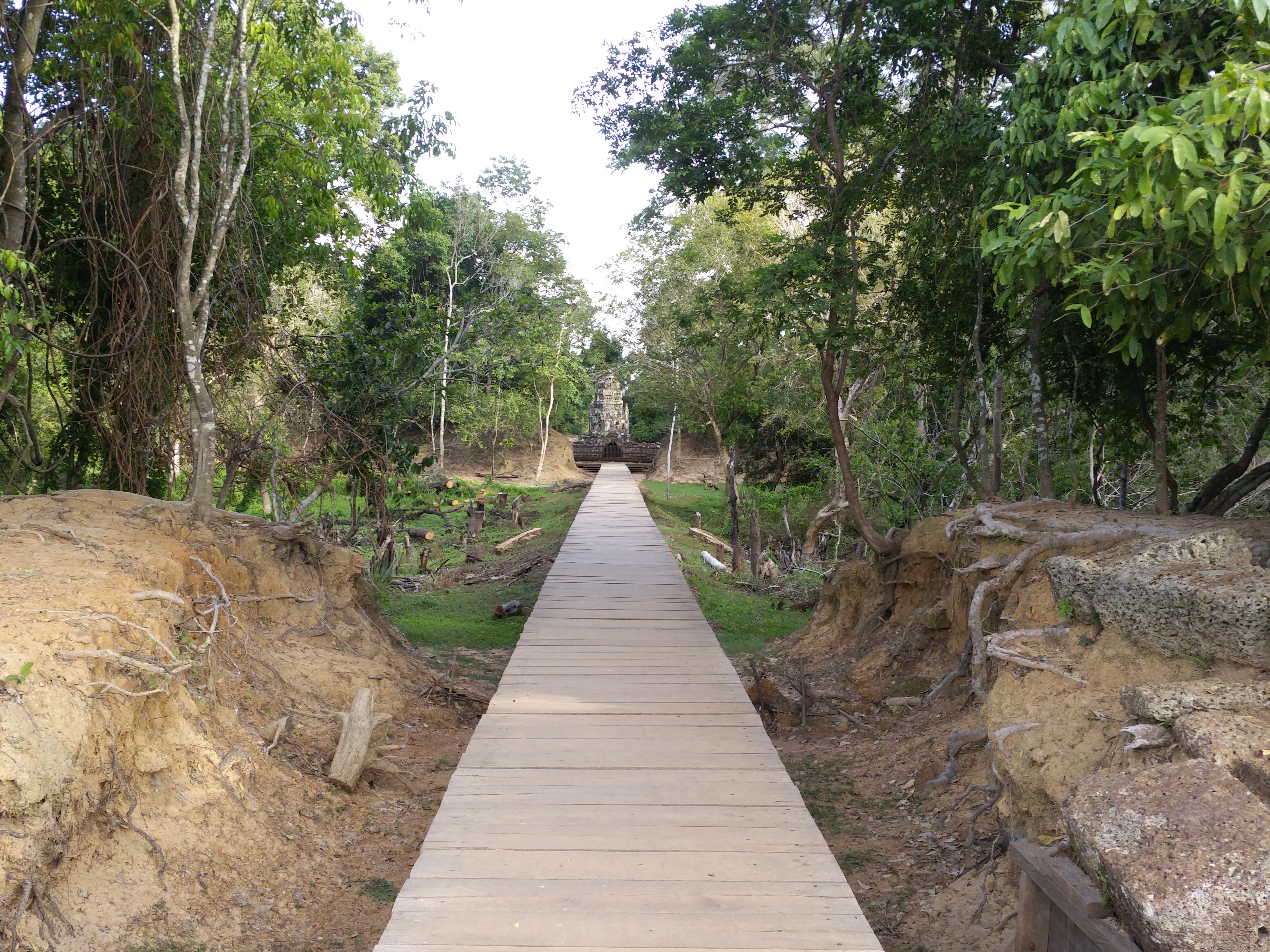 Cambodia - Path to Temple